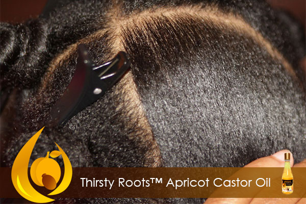 benefits of apricot castor oil for hair